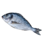 Невозможно загрузить изображение