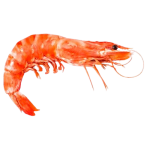 Невозможно загрузить изображение