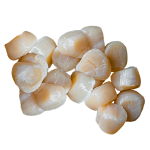 Невозможно загрузить изображение