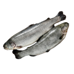 Невозможно загрузить изображение