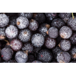 Невозможно загрузить изображение