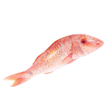 Невозможно загрузить изображение