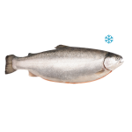 Невозможно загрузить изображение