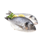 Невозможно загрузить изображение