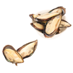 Невозможно загрузить изображение