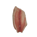 Невозможно загрузить изображение