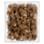 Невозможно загрузить изображение