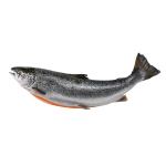 Невозможно загрузить изображение