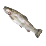 Невозможно загрузить изображение