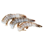 Невозможно загрузить изображение