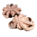 Невозможно загрузить изображение