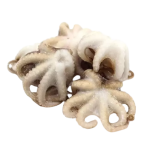 Невозможно загрузить изображение