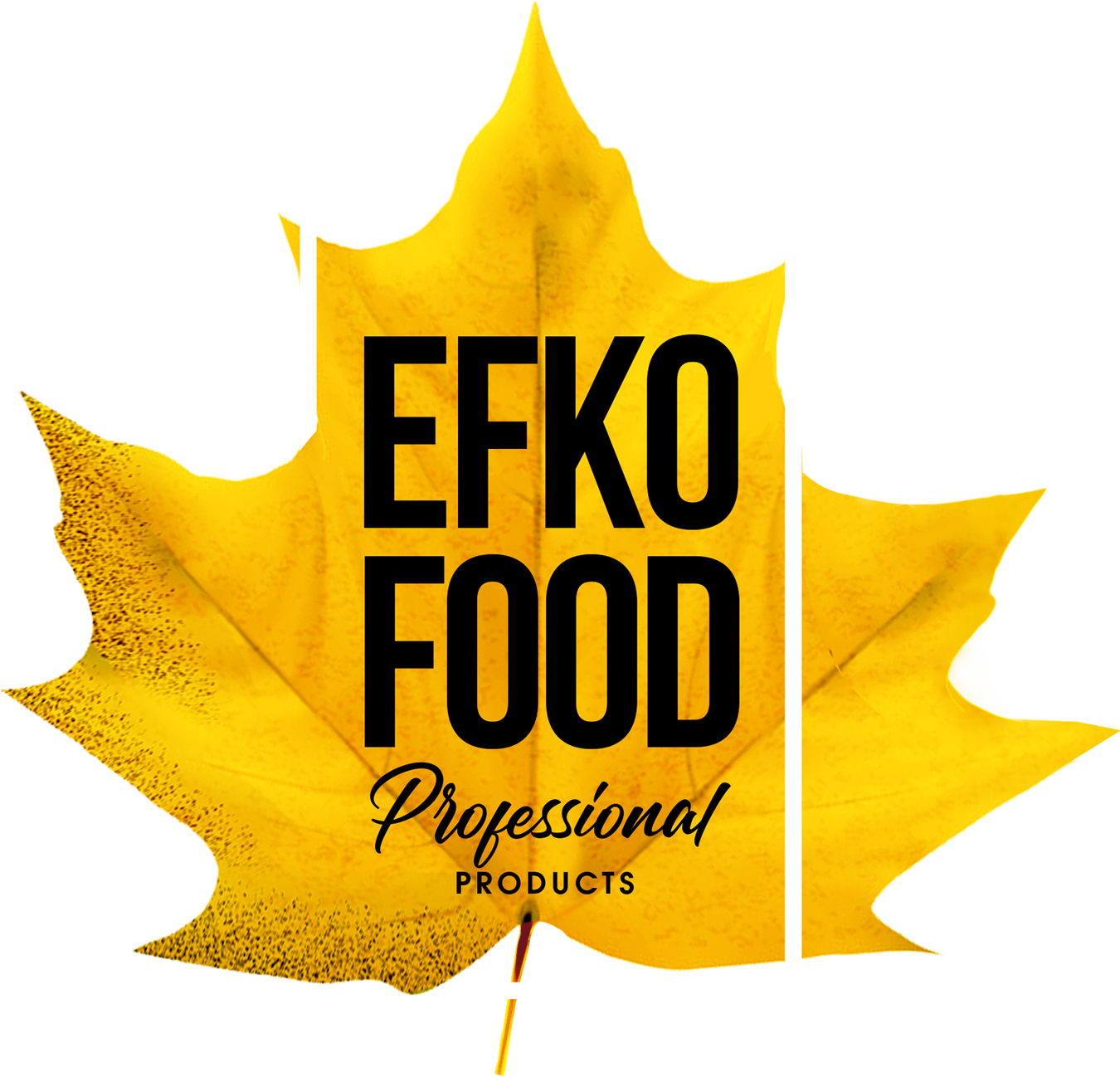 Efko Food